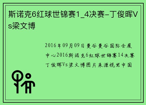 斯诺克6红球世锦赛1_4决赛-丁俊晖Vs梁文博